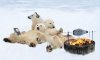 Polar-Bear-BBQ-Penguin.jpg