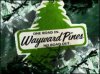 Wayward Pines.jpg