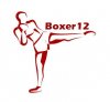 boxer12.JPG
