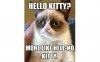 hello-kitty-not-cat-memes_0.jpg