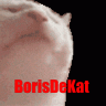 BorisDeKat